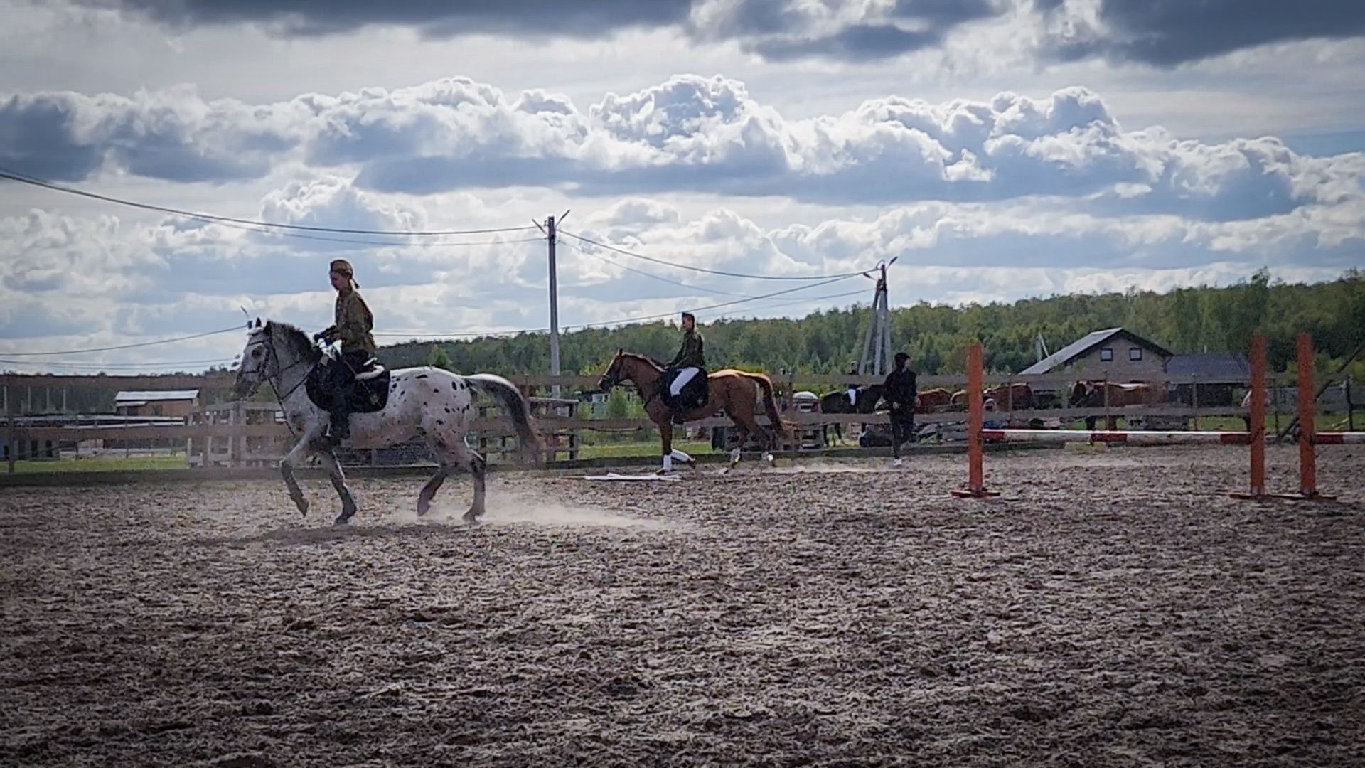 раменский округ , деревня салтыково, конный клуб салтыково, дети, лошади ,