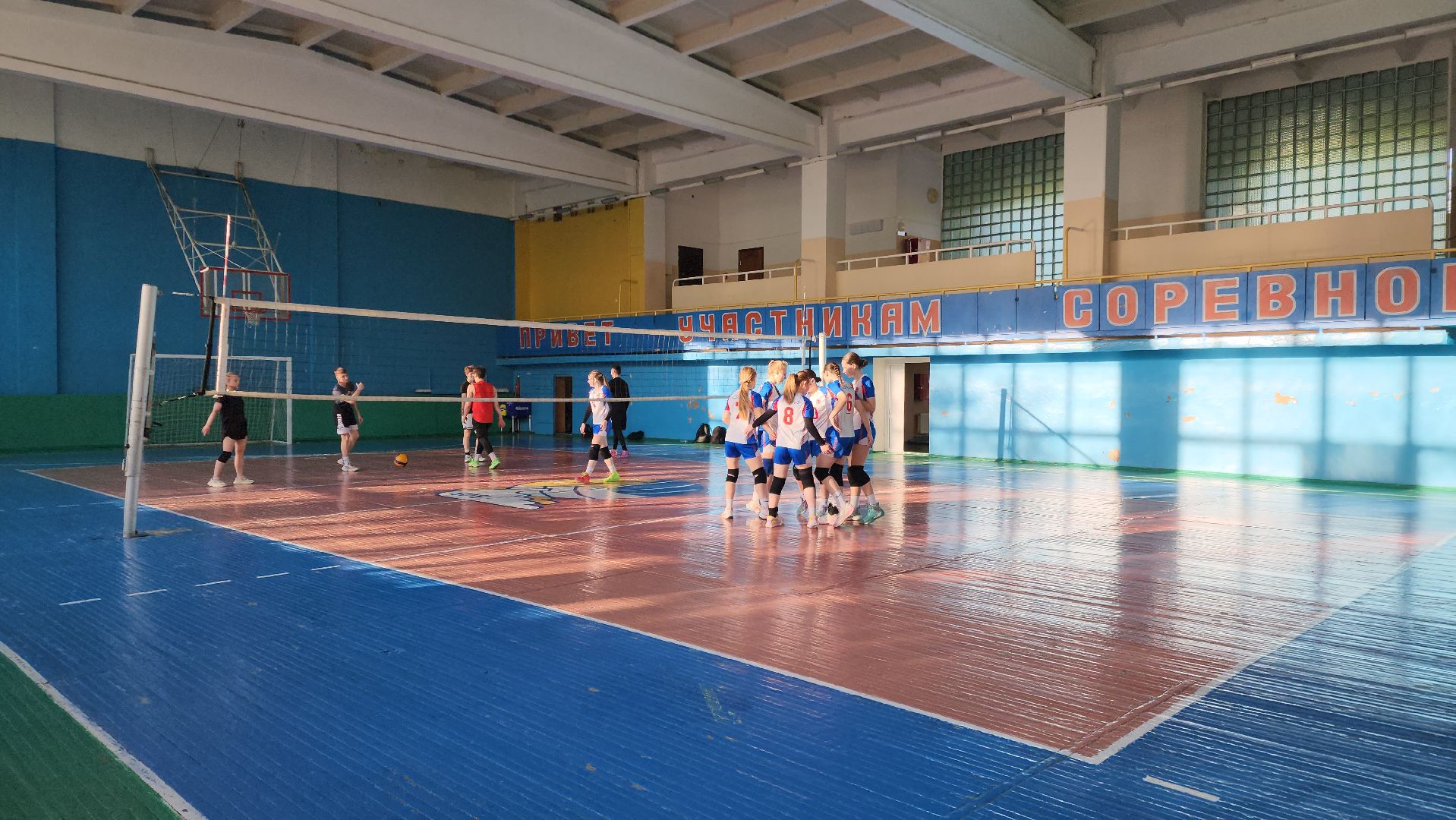 спорт подмосковья, волейбол, шатура,