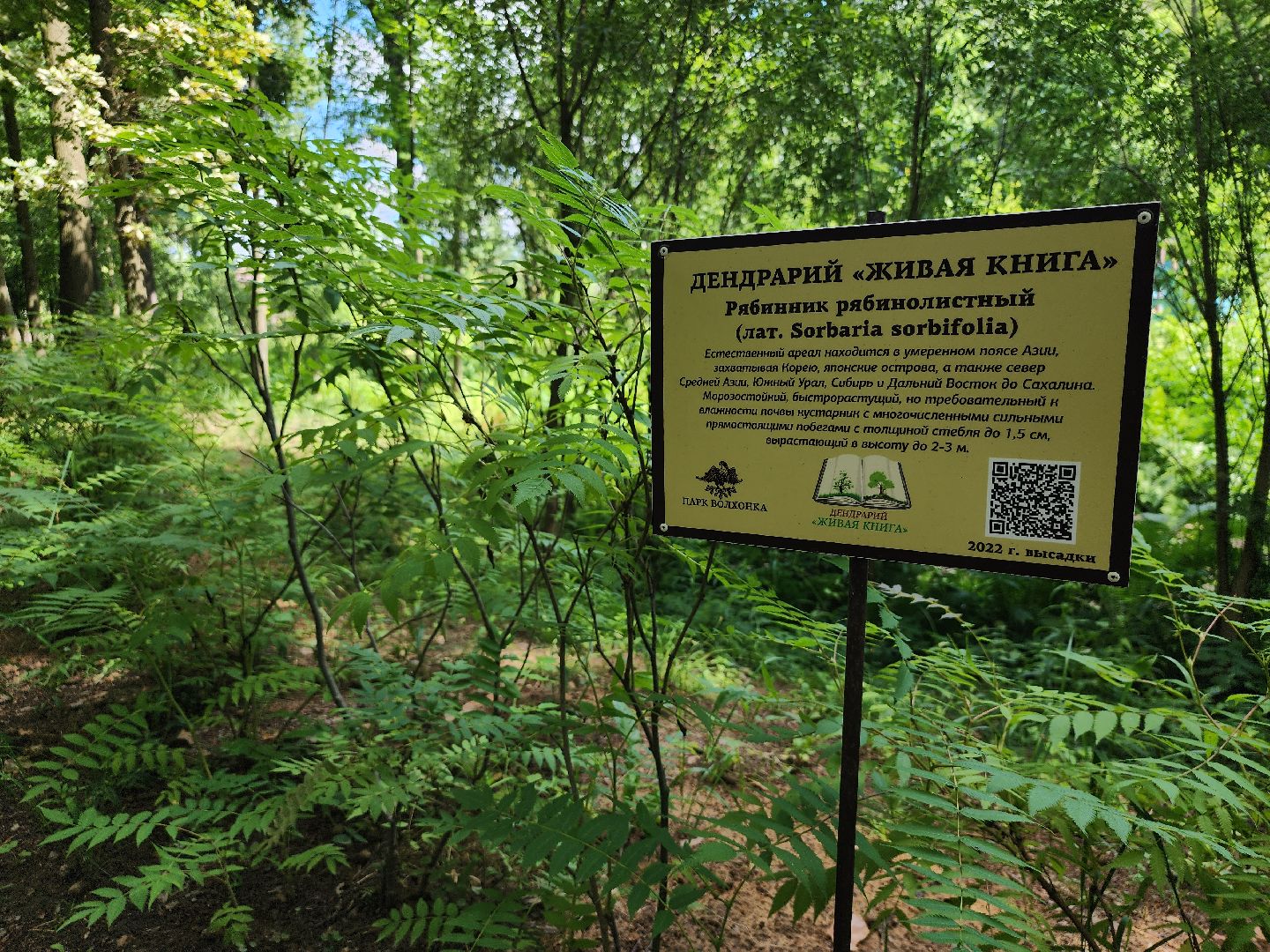 благоустройство,  комфортная городская среда, голосование, объекты благоустройства, богородский городской округ,