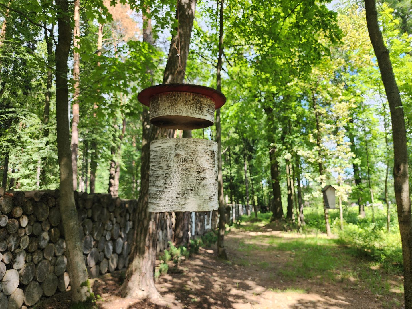 благоустройство,  комфортная городская среда, голосование, объекты благоустройства, богородский городской округ,
