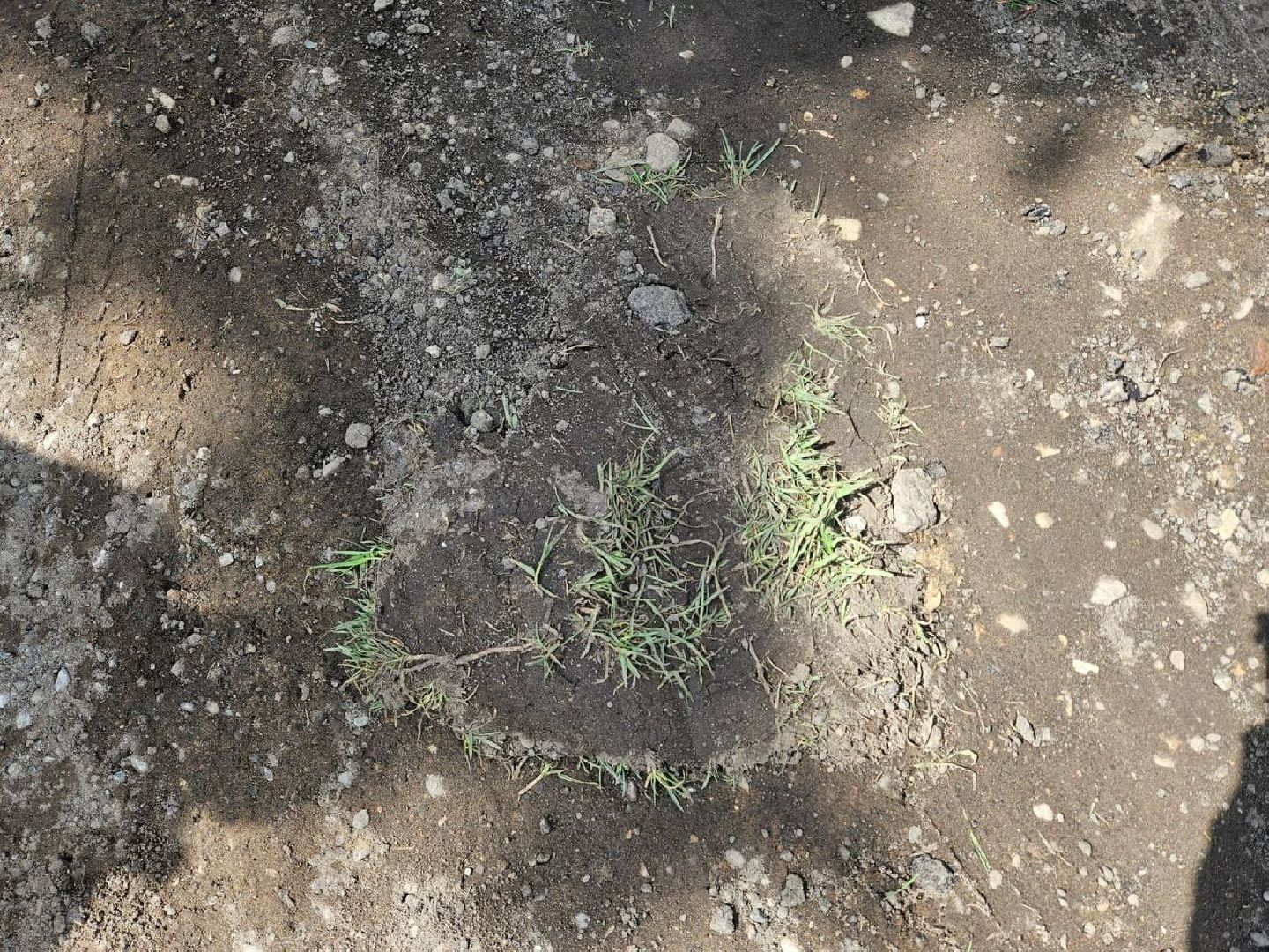 Одинцово, Выездная администрация, местное самоуправление,