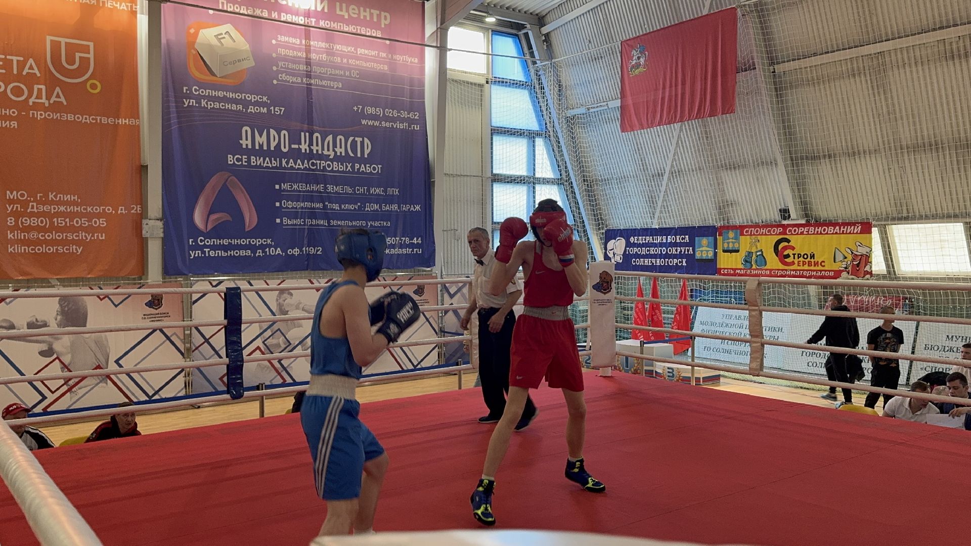 солнечногорск, спорт, бокс, чемпионат, медали,