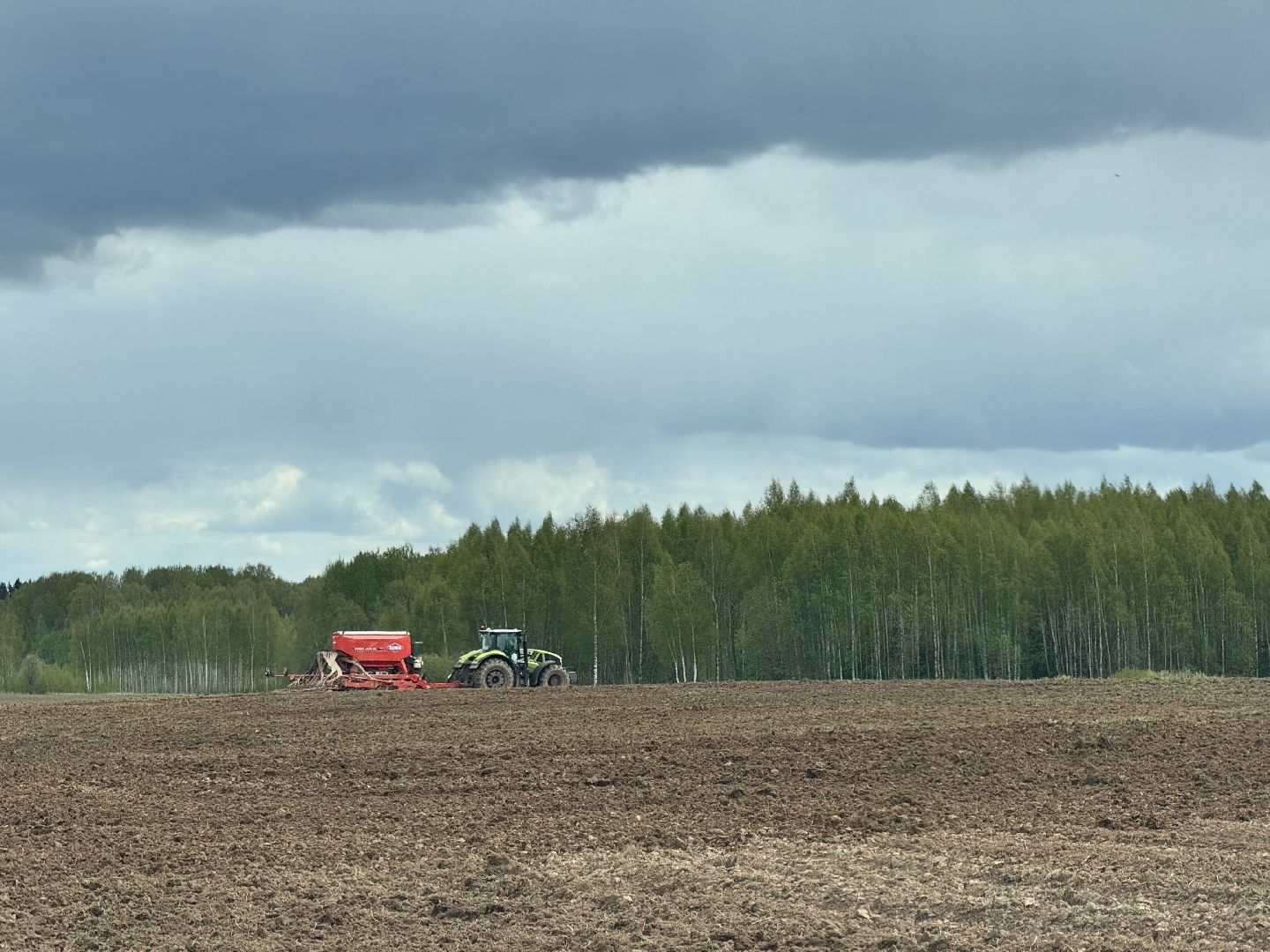 посевная, посевная 2025, агробизнес, шаховская,