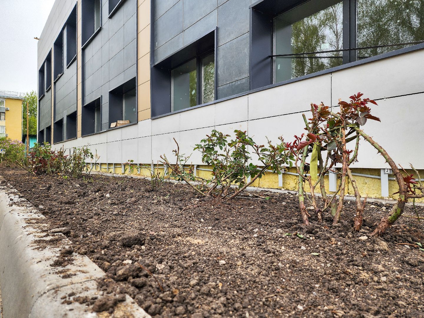 Подольск, Гимназия имени подольских курсантов,Благоустройство,