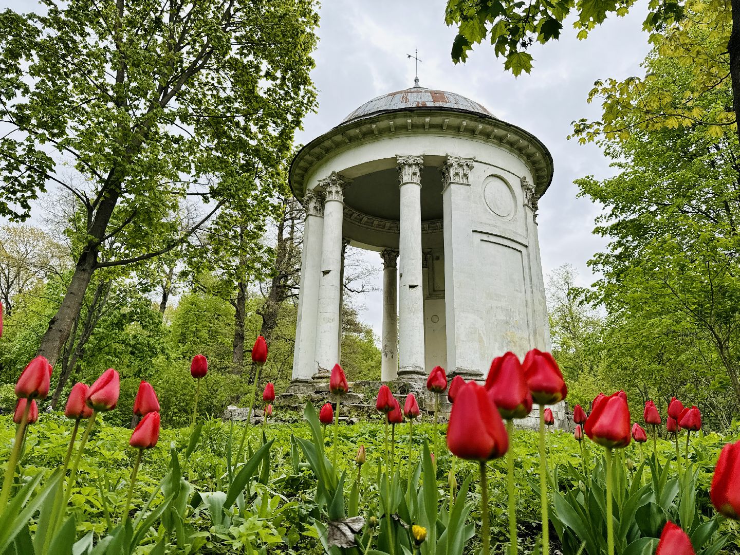 раменское , усадьба быково, пленэр, тюльпаны, достопримечательности,
