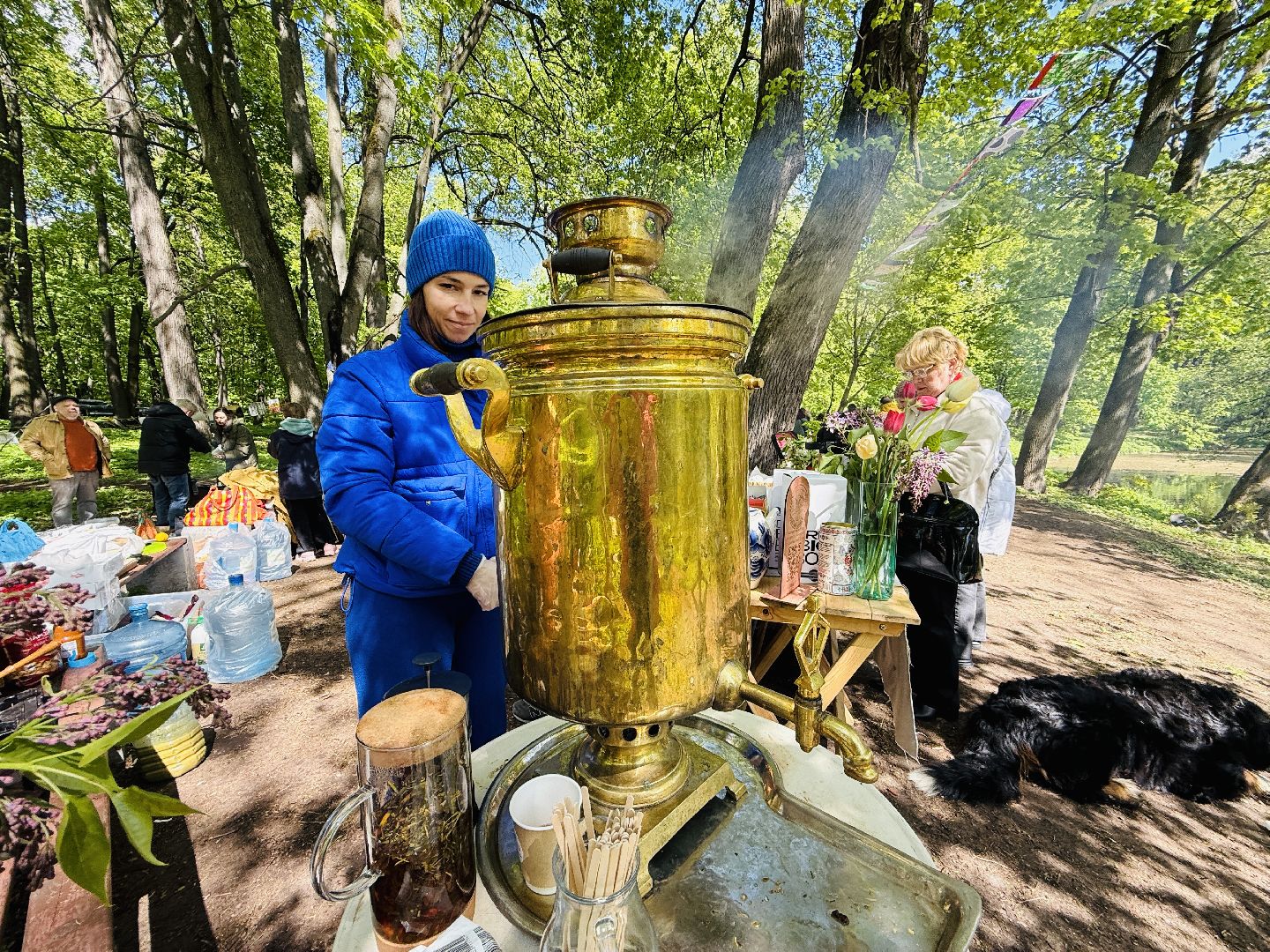 раменское , усадьба быково, пленэр, тюльпаны, достопримечательности,
