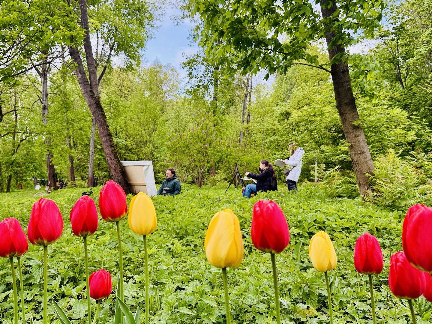 раменское , усадьба быково, пленэр, тюльпаны, достопримечательности,