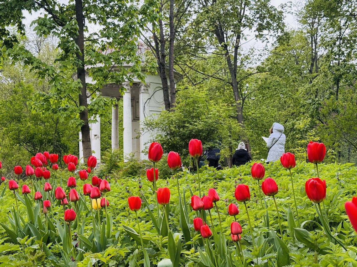 раменское , усадьба быково, пленэр, тюльпаны, достопримечательности,