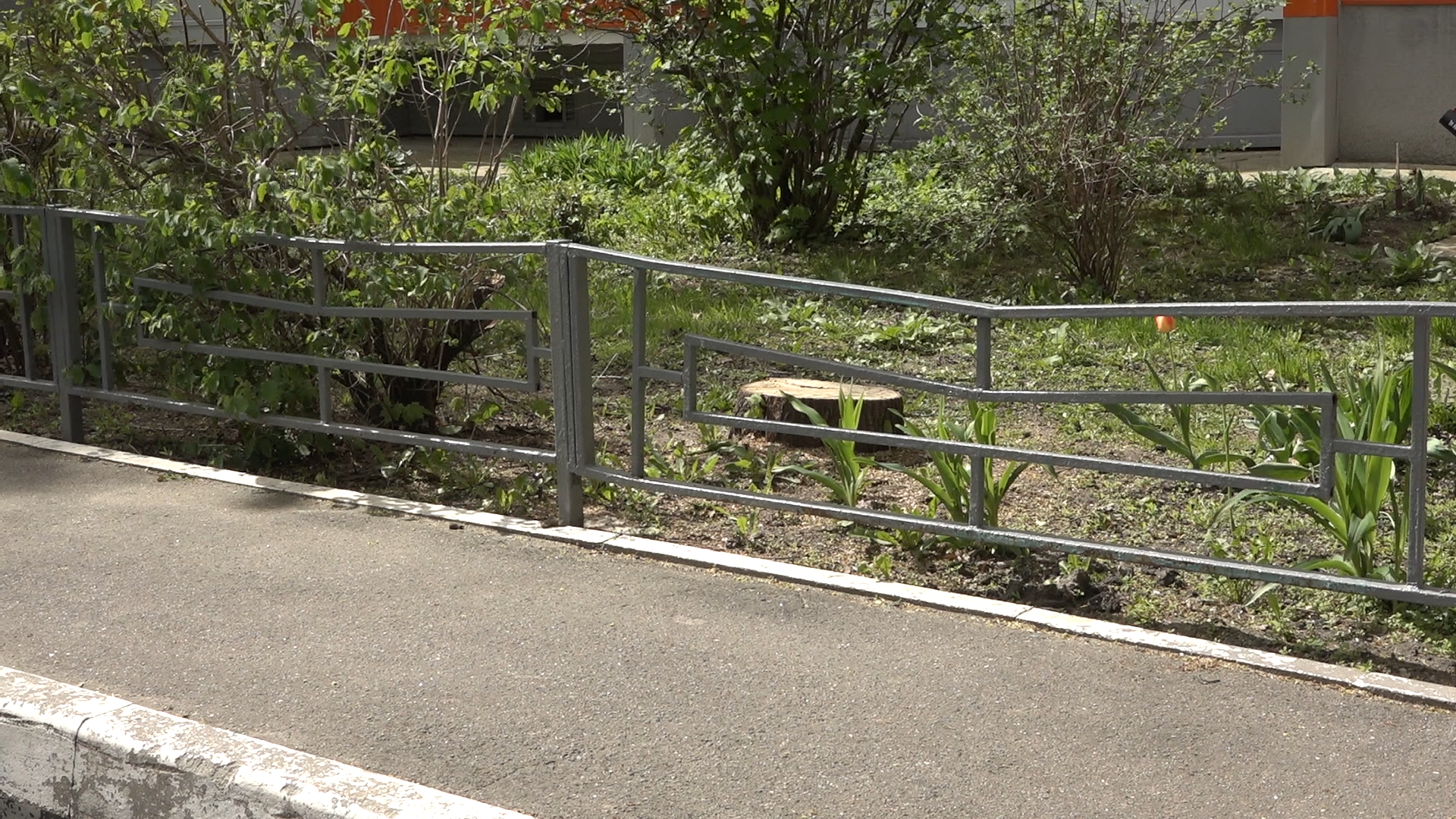 Власиха Солнечный, благоустройство территории, уборка улиц, обращения жителей, Власиха улица солнечная,