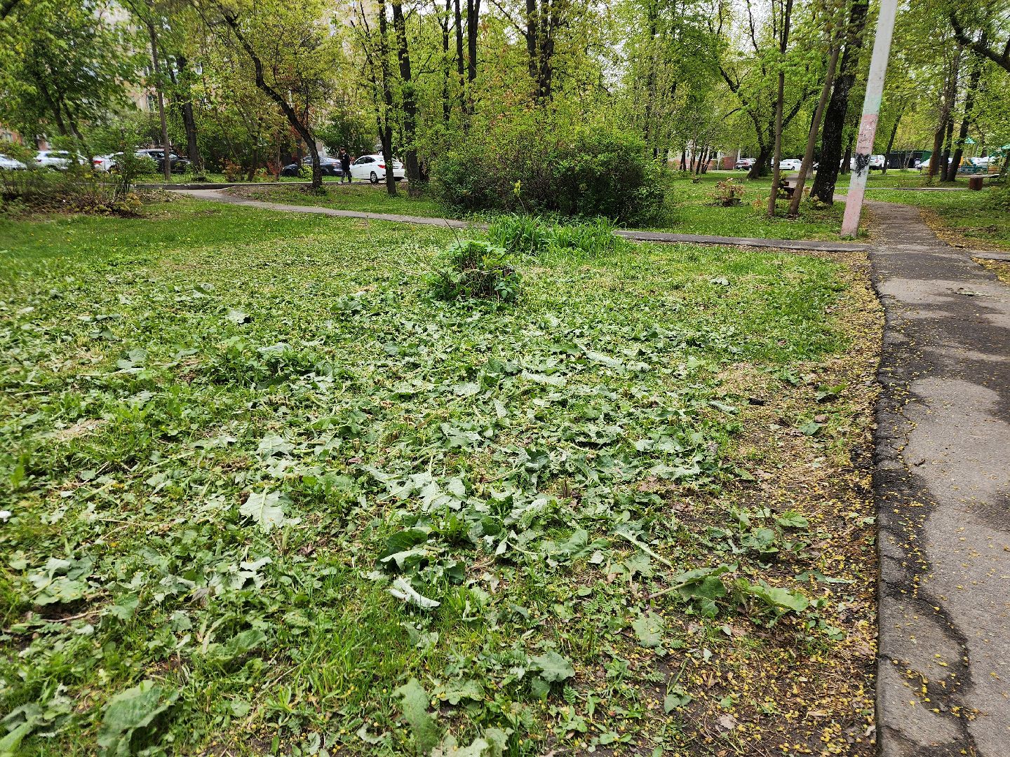 фрязино, уборка улиц, покос травы,