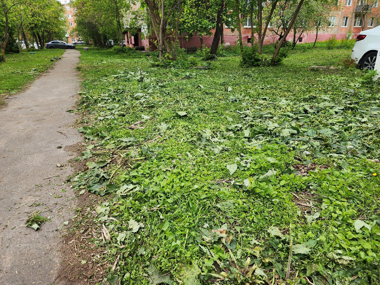 фрязино, уборка улиц, покос травы,