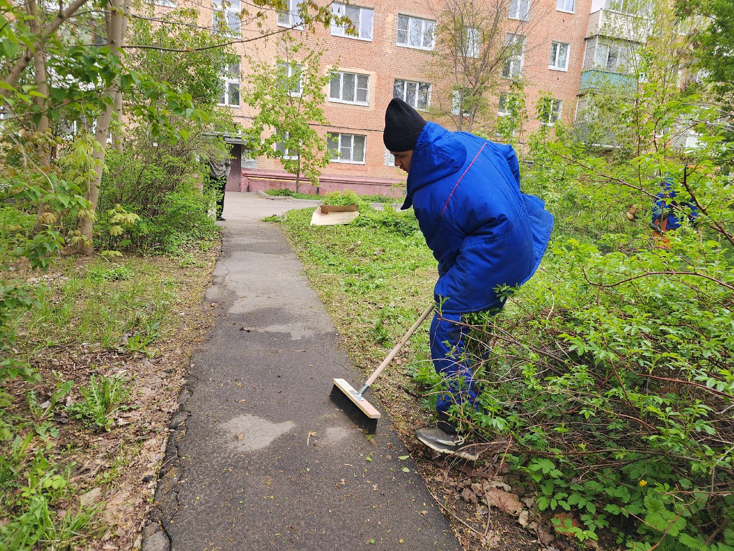 фрязино, уборка улиц, покос травы,