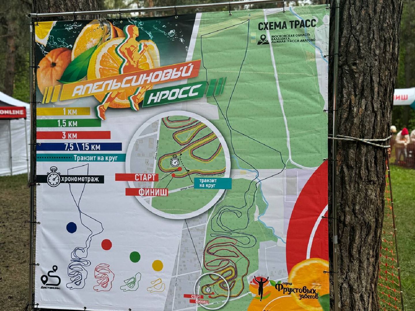 забег, соревнования, кросс,