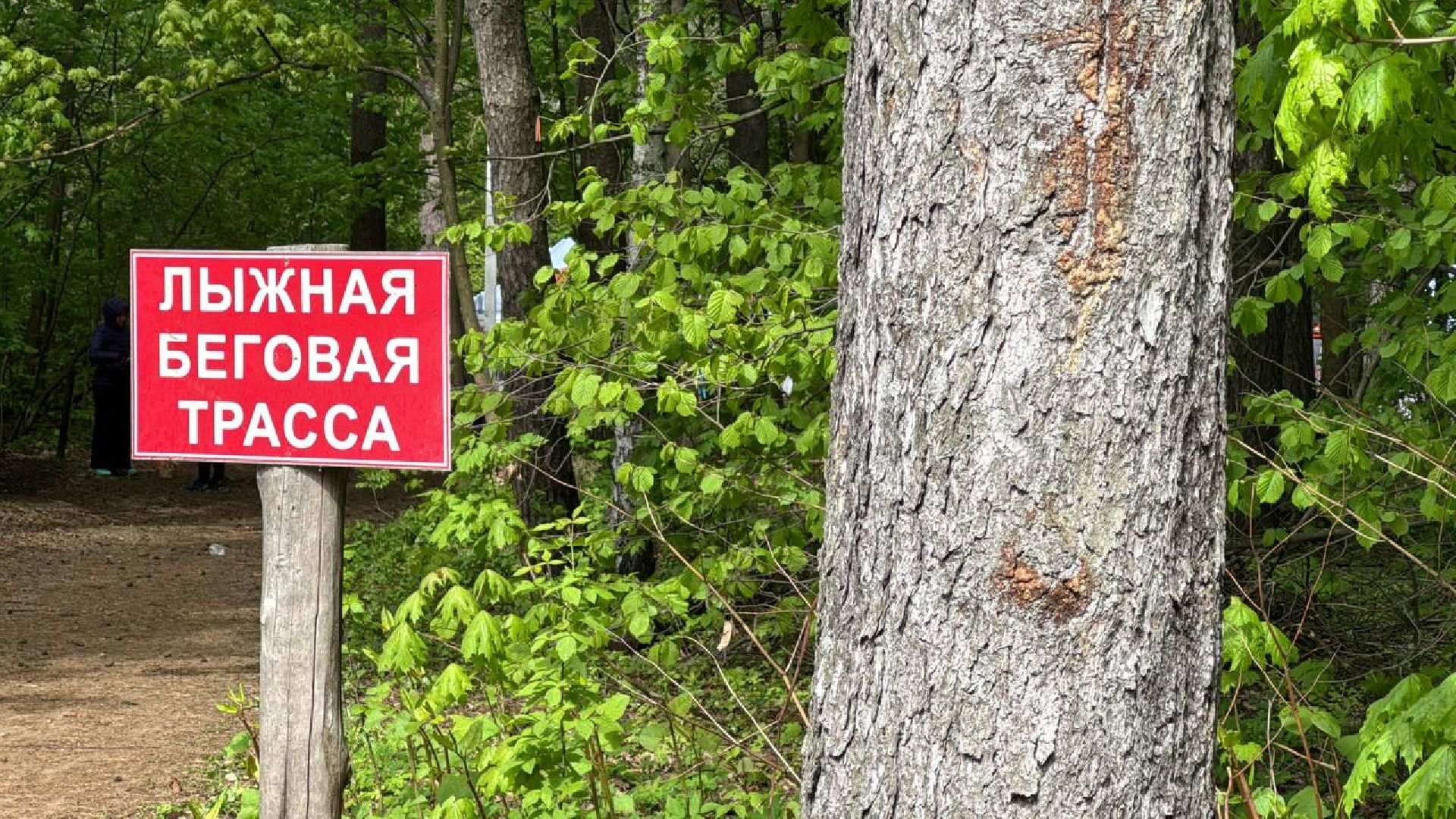 забег, соревнования, кросс,