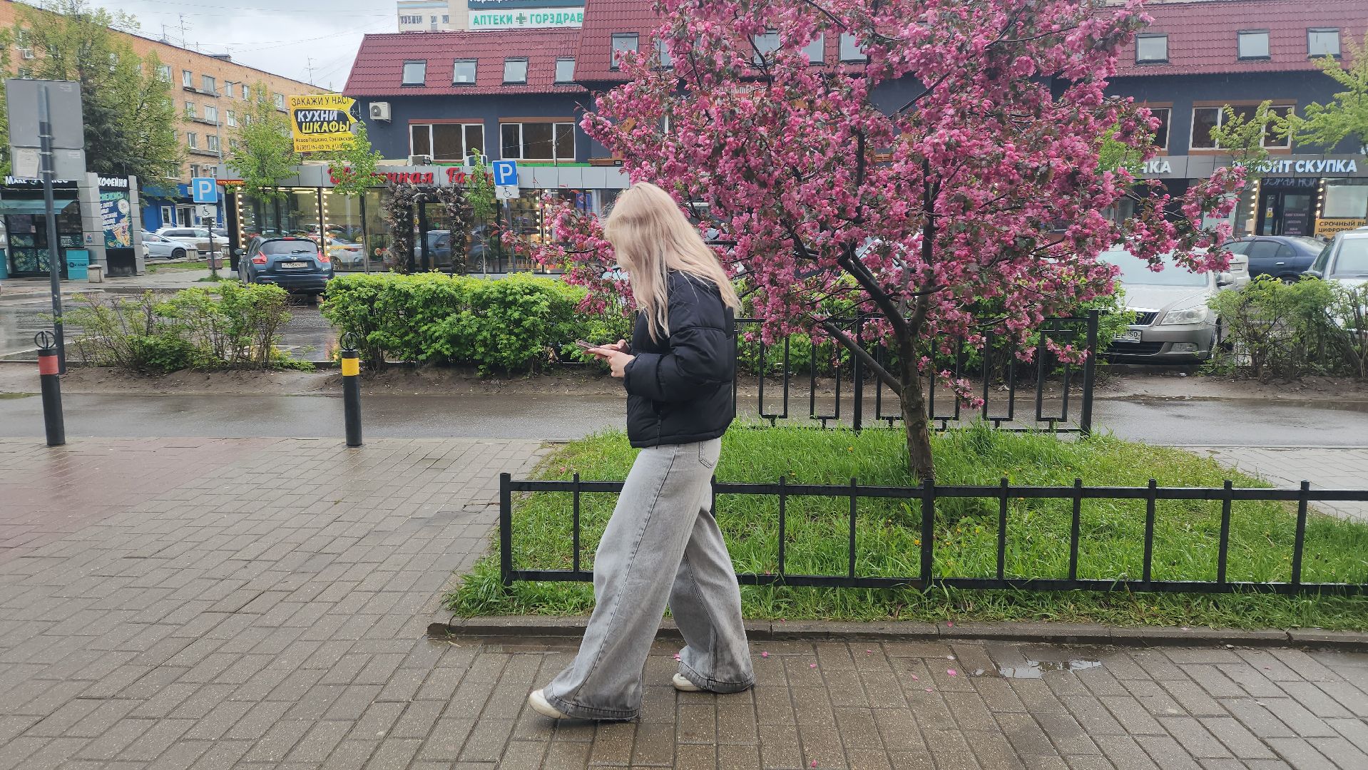 пушкино, цветение, цветение растений, яблоня, красота, весна в подмосковье,вертикалки,