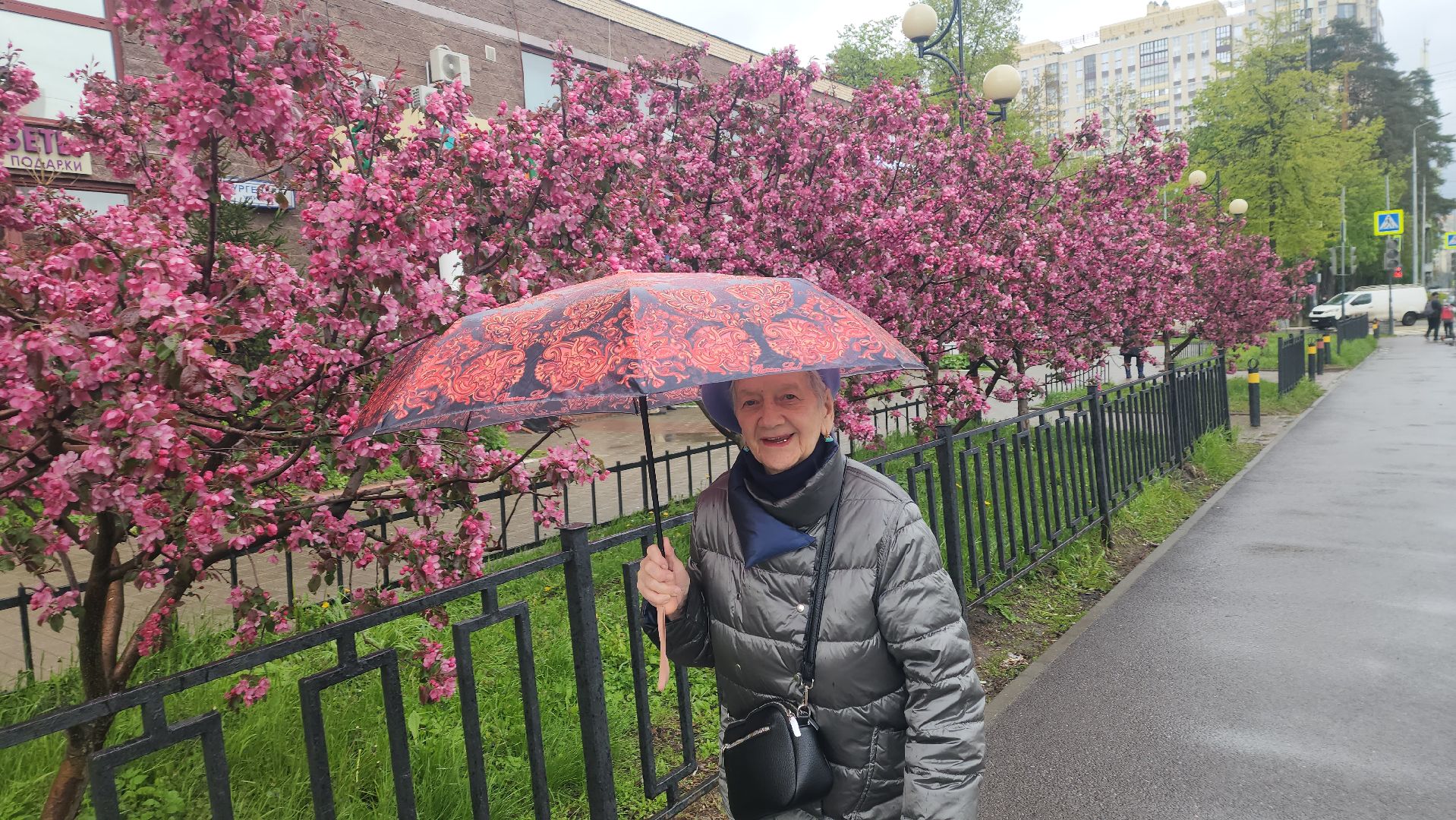 пушкино, цветение, цветение растений, яблоня, красота, весна в подмосковье,вертикалки,