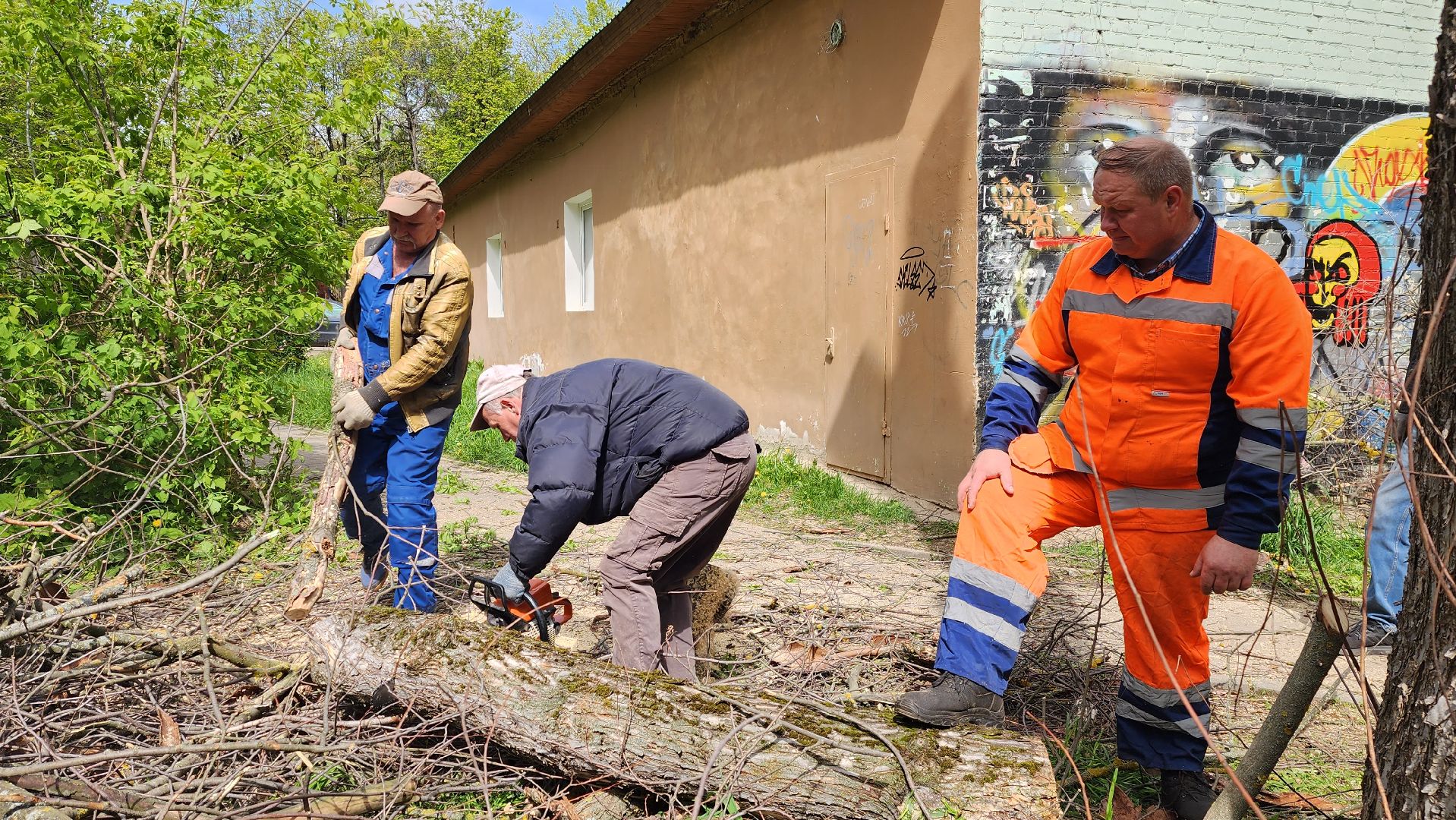 благоустройство, истра, аварийные деревья, добродел,
