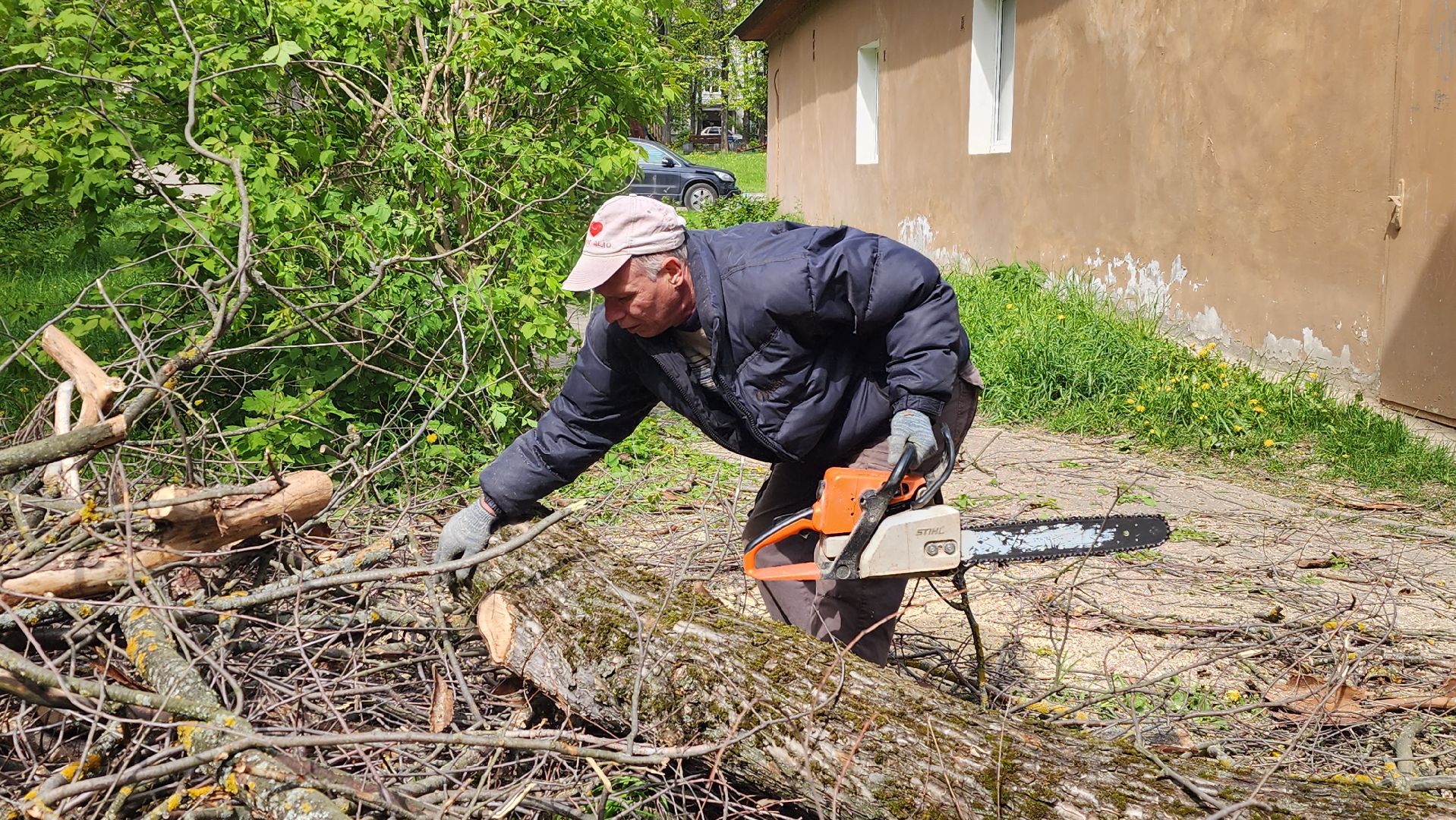 благоустройство, истра, аварийные деревья, добродел,