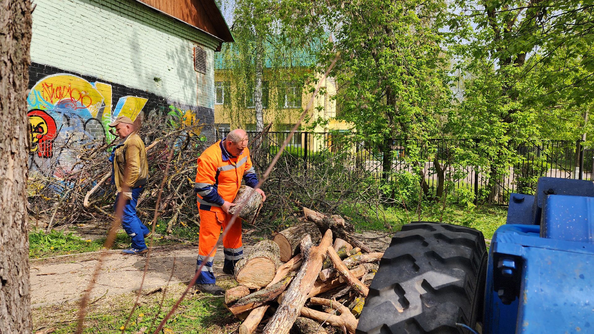 благоустройство, истра, аварийные деревья, добродел,
