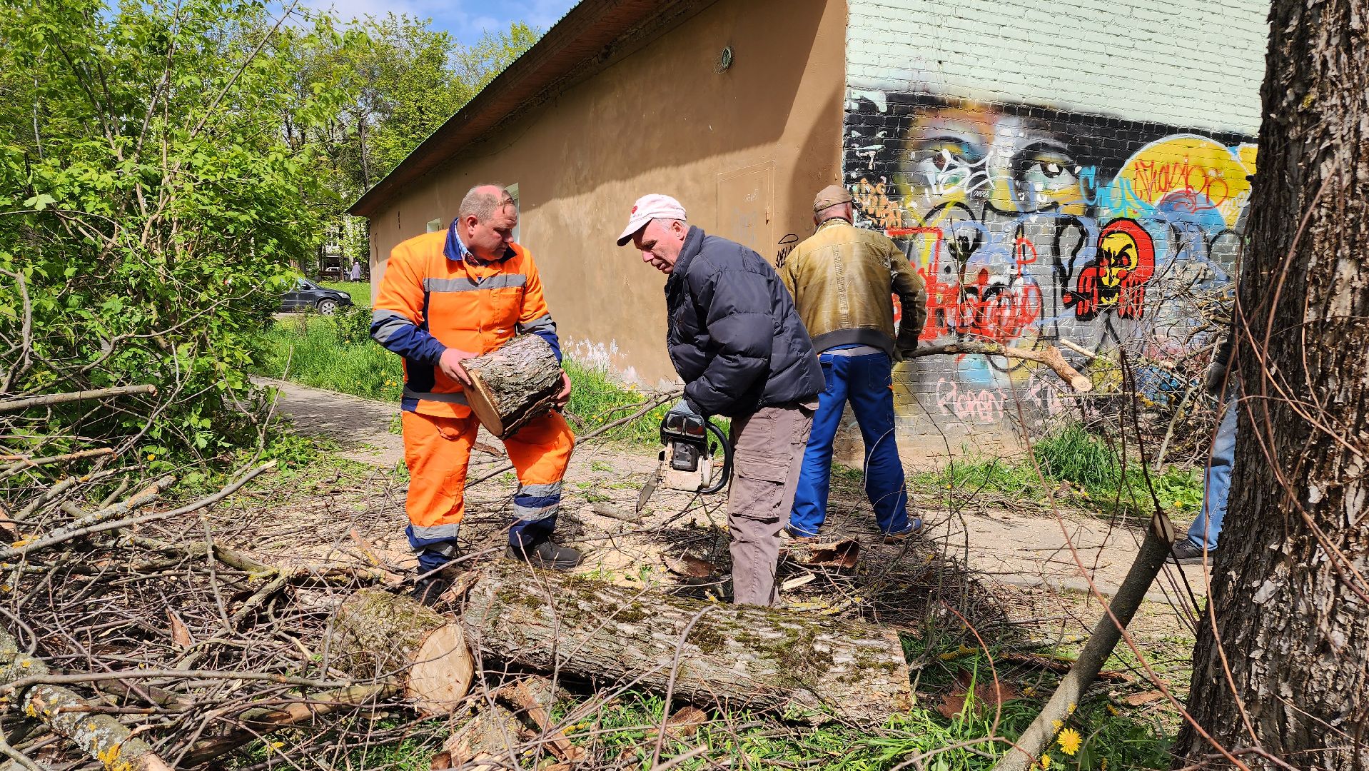 благоустройство, истра, аварийные деревья, добродел,