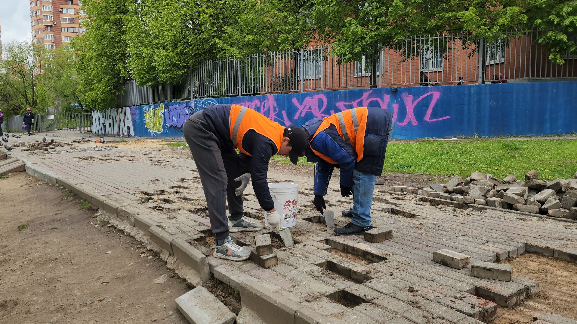 химки, благоустройство , жкх,