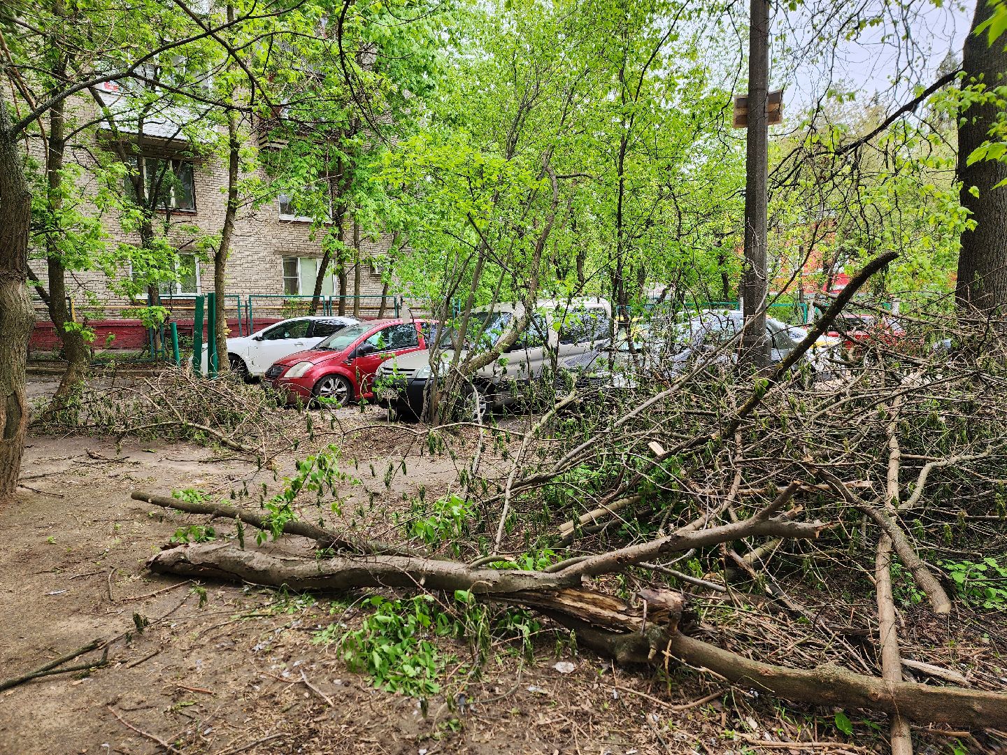 королёв, благоустройство в королеве, горзеленхозстрой, последствия непогоды, добродел,