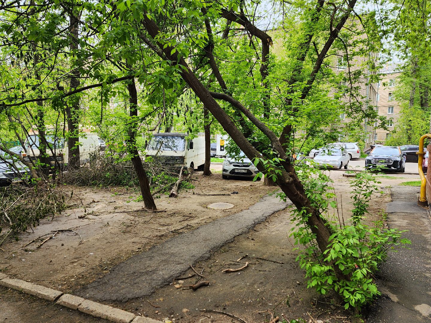 королёв, благоустройство в королеве, горзеленхозстрой, последствия непогоды, добродел,