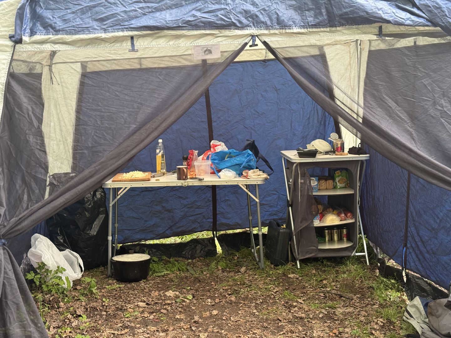 соревнования школа безопасности , ленинский городской округ, школьники ,