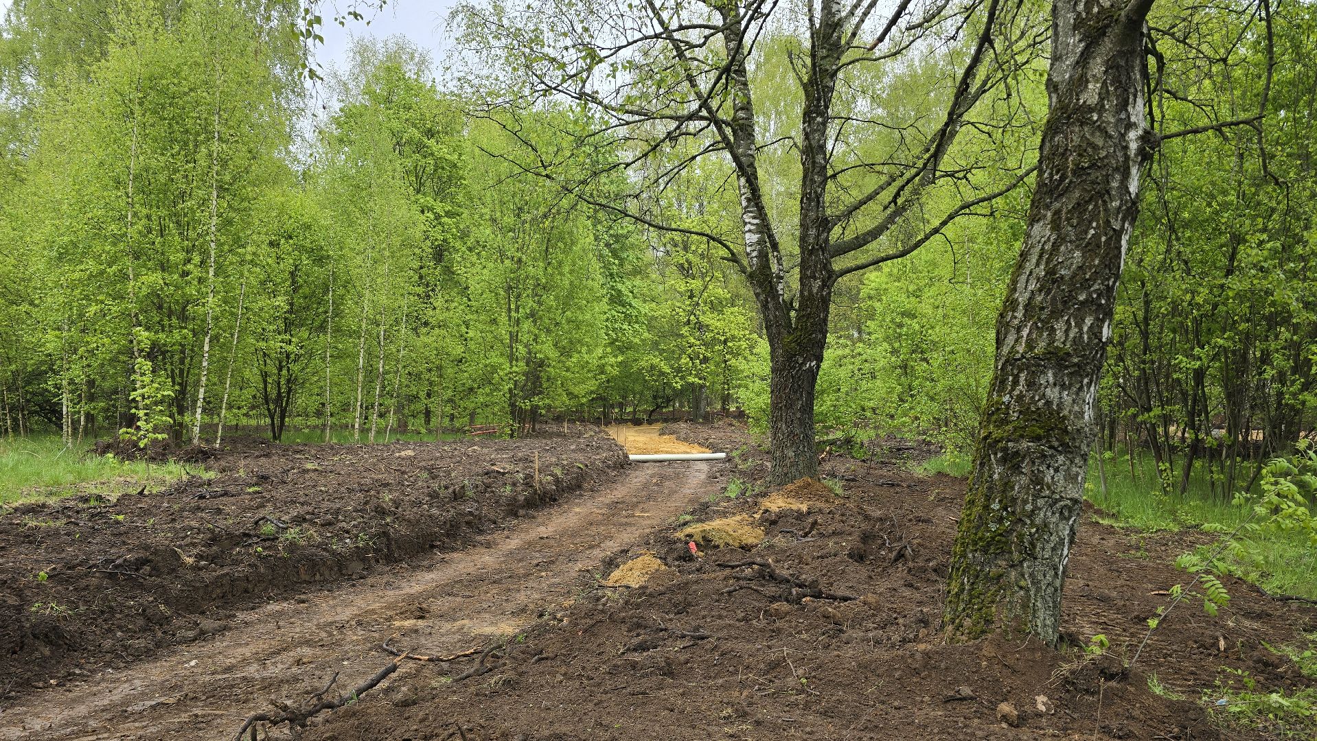 Коломна, благоустройство, парк,