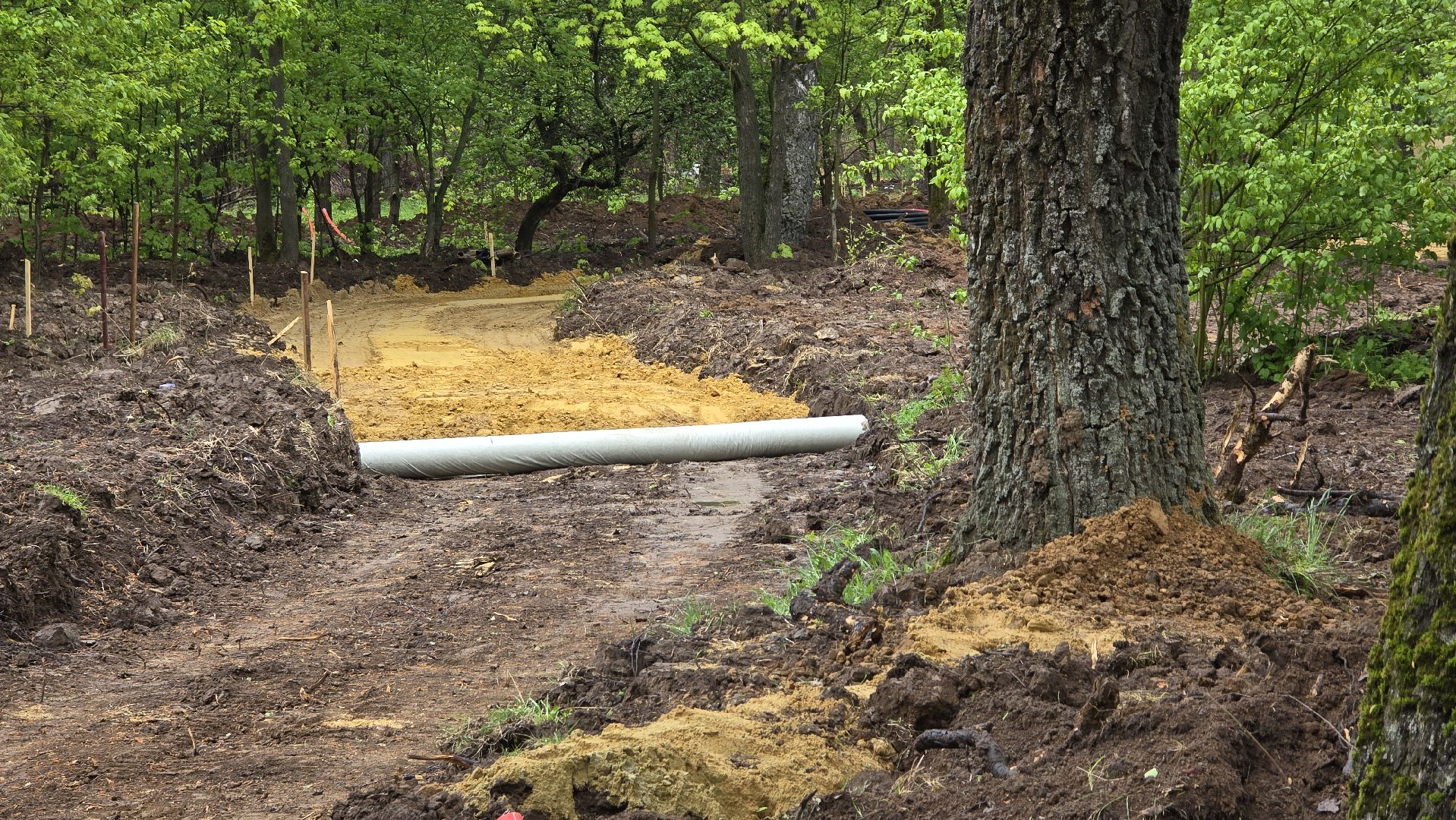 Коломна, благоустройство, парк,