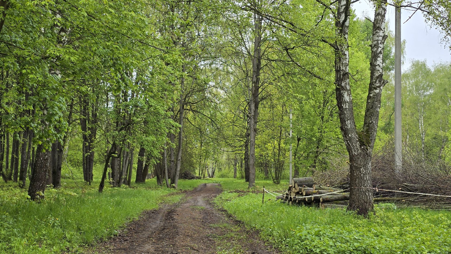 Коломна, благоустройство, парк,