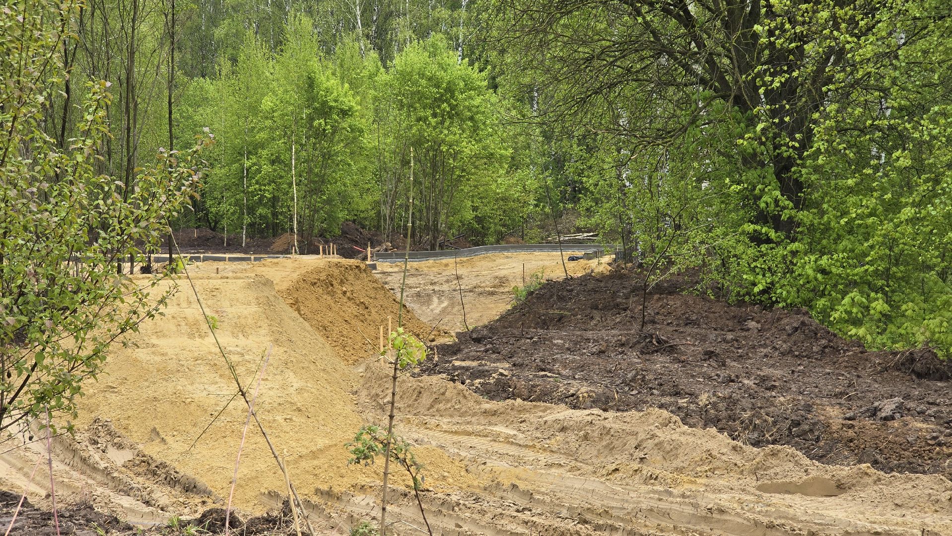 Коломна, благоустройство, парк,