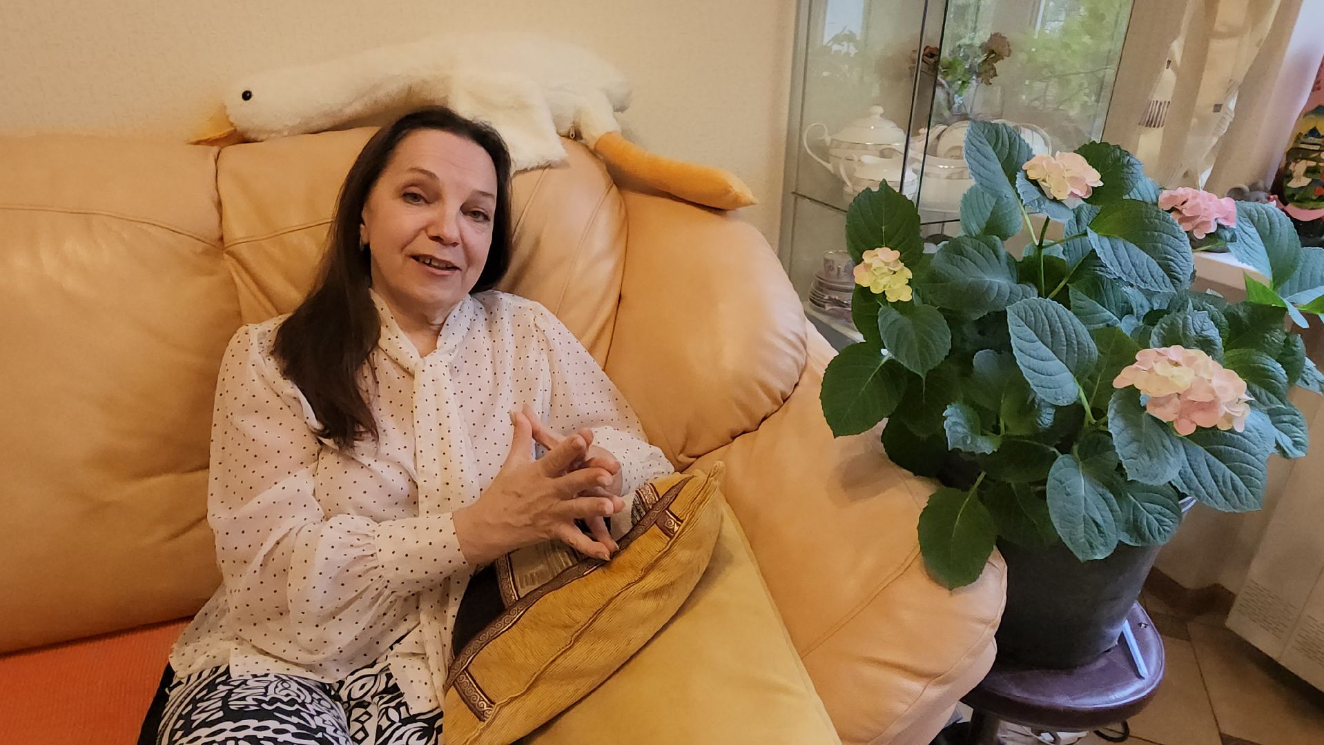 красноармейск, городской округ пушкинский, театр танцев, всемирная танцевальная олимпиада ,