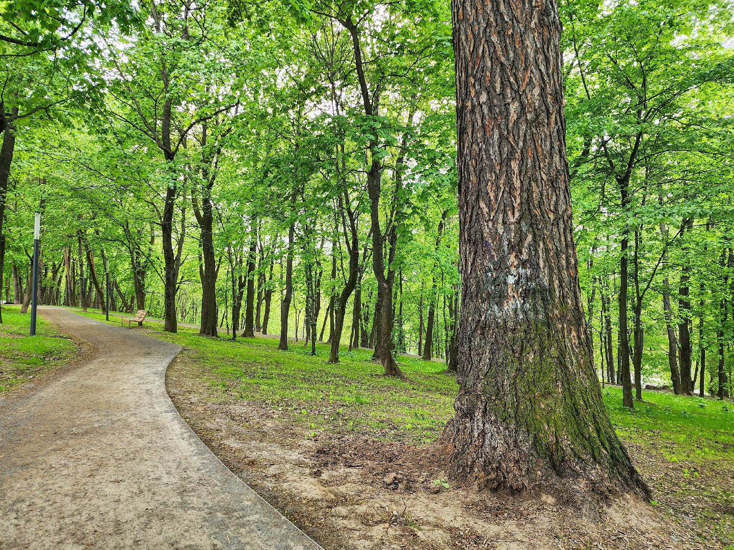 Подольск, Благоустройство, парк имени талалихина,парки подмосковья,