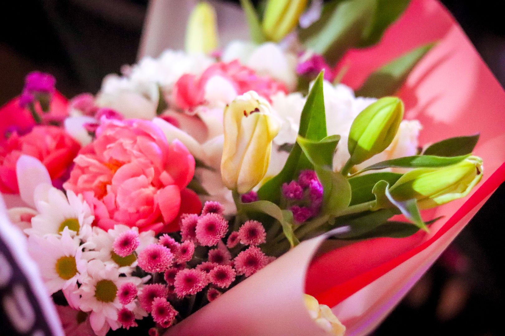 клин, общество, медицина, подмосковье, медсестры,