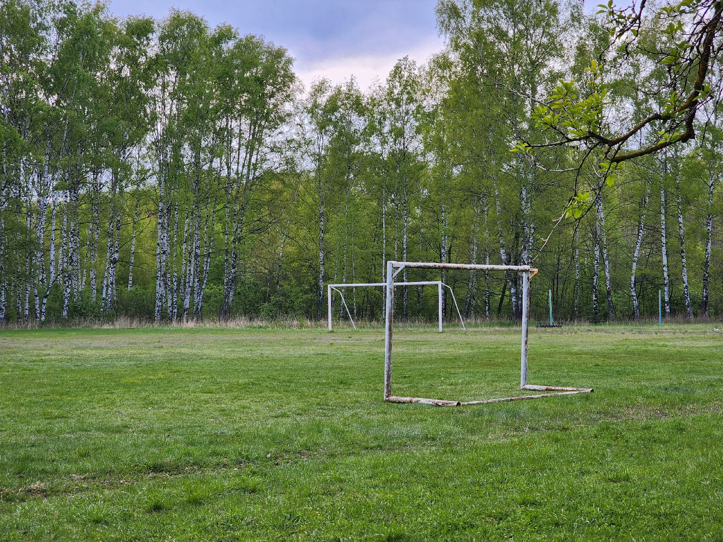 выездная администрация, шатура, шатурский округ, туголесский бор, благоустройство 2025,