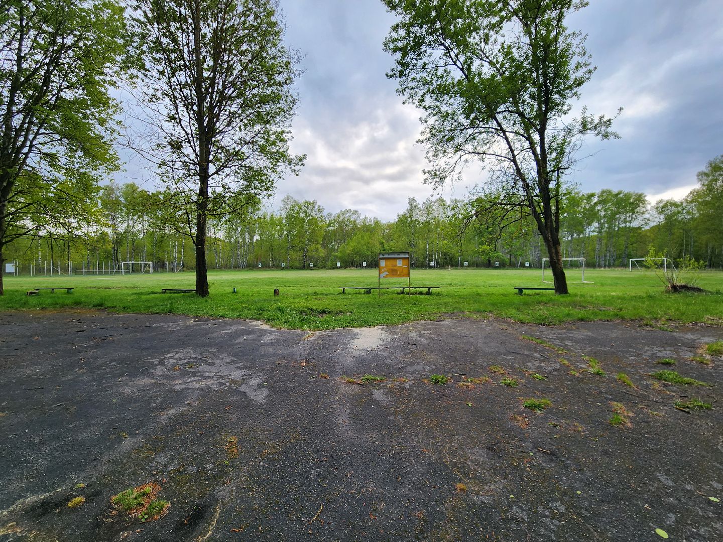 выездная администрация, шатура, шатурский округ, туголесский бор, благоустройство 2025,