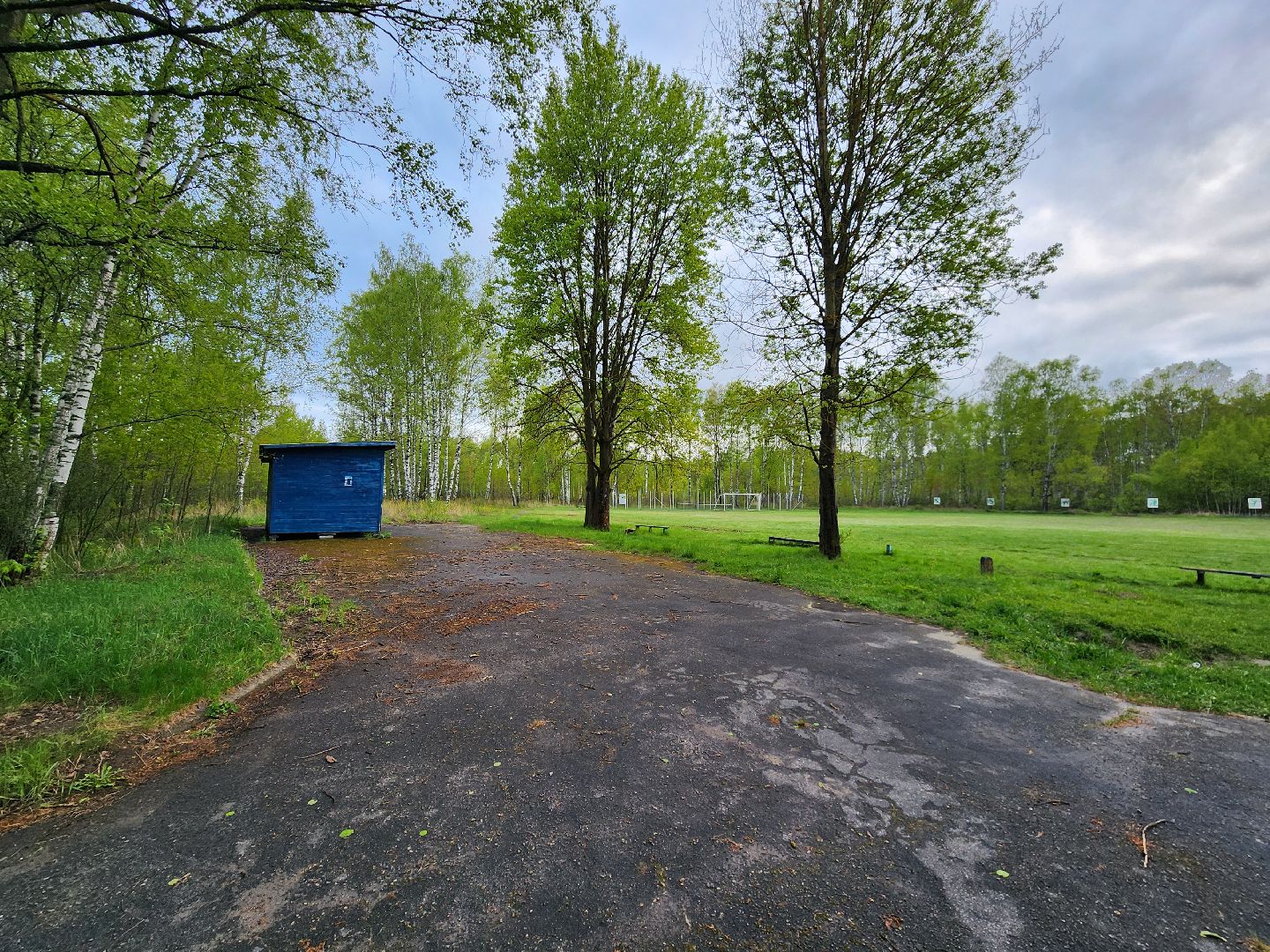 выездная администрация, шатура, шатурский округ, туголесский бор, благоустройство 2025,