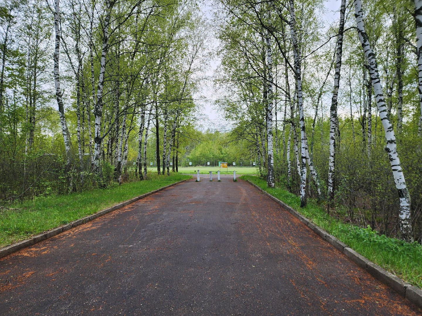 выездная администрация, шатура, шатурский округ, туголесский бор, благоустройство 2025,