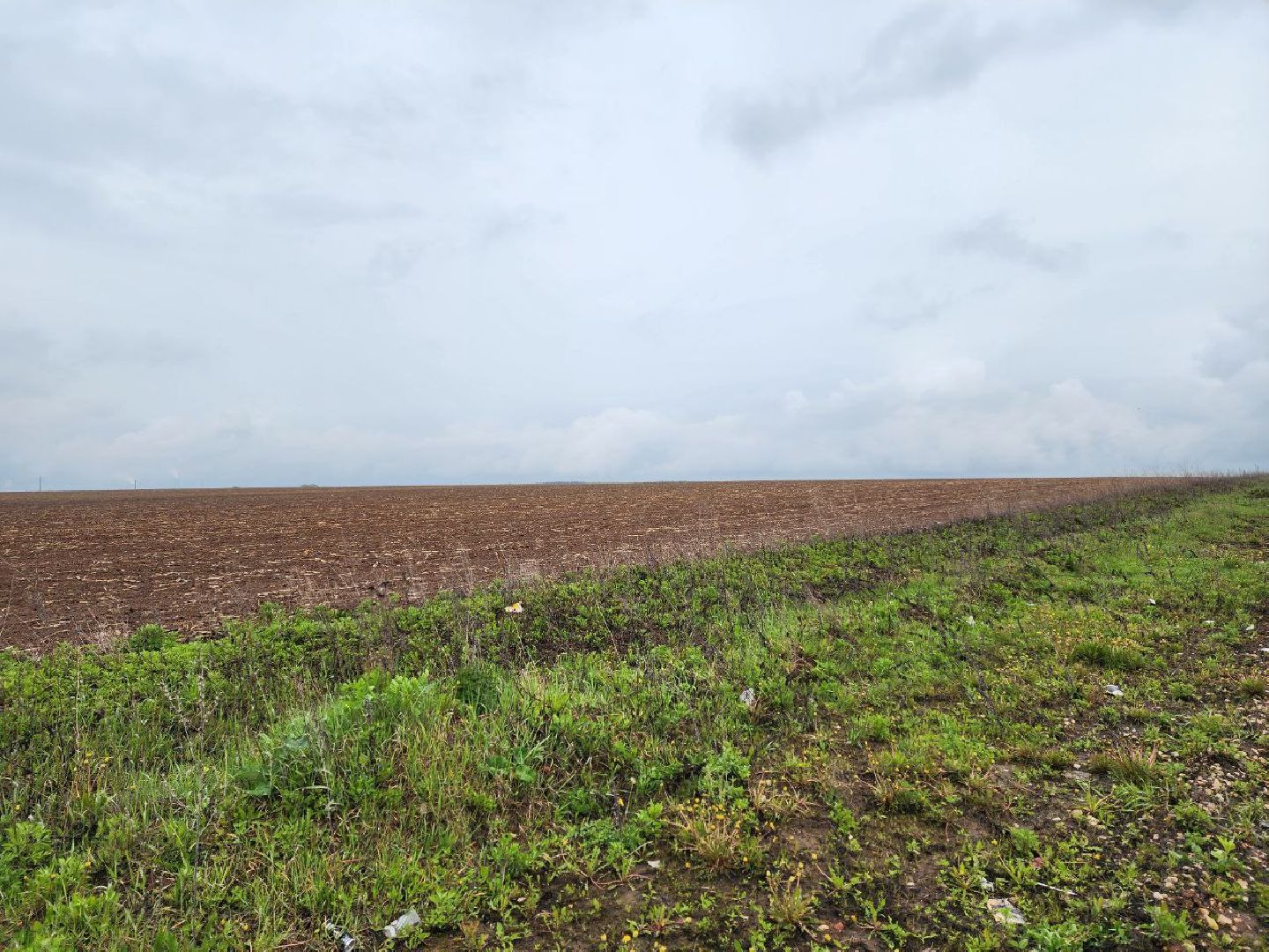 воскресенск, сельское хозяйство, аграрии, посевная 2025,