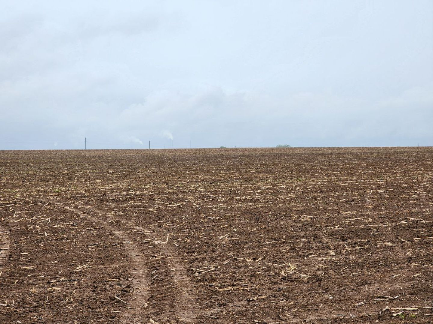 воскресенск, сельское хозяйство, аграрии, посевная 2025,