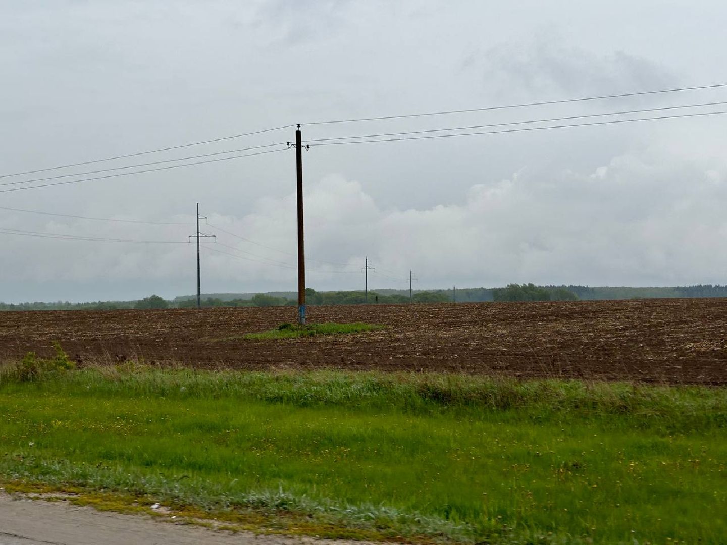 воскресенск, сельское хозяйство, аграрии, посевная 2025,