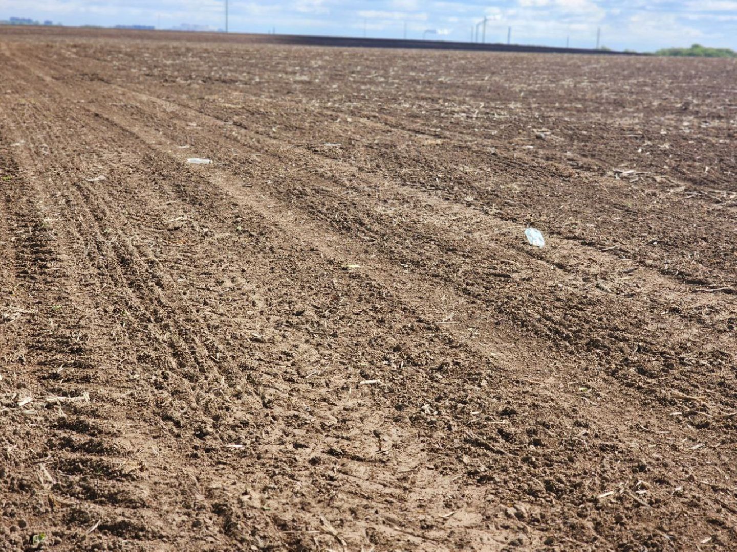 воскресенск, сельское хозяйство, аграрии, посевная 2025,