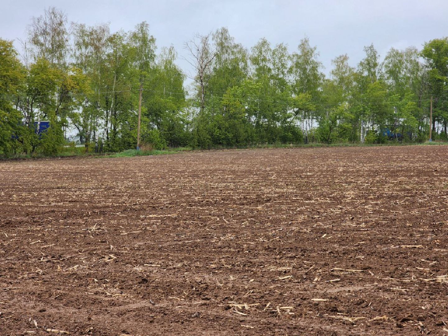 воскресенск, сельское хозяйство, аграрии, посевная 2025,