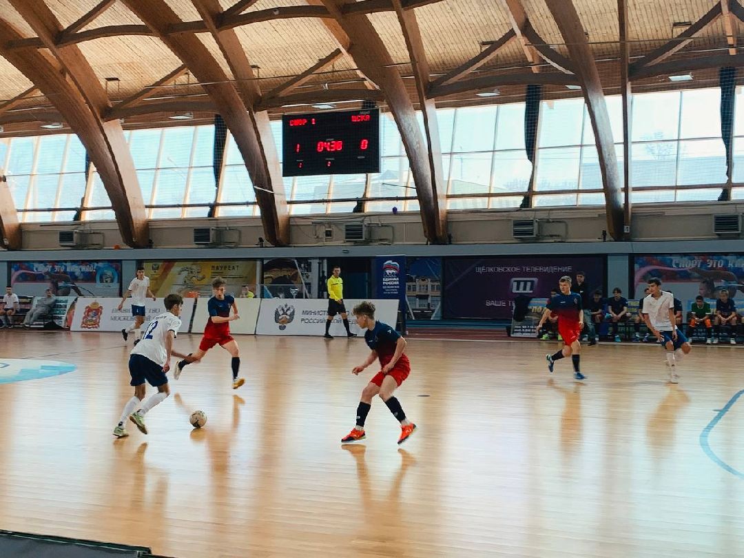 спорт, мини-футбол, футбол, Щёлково