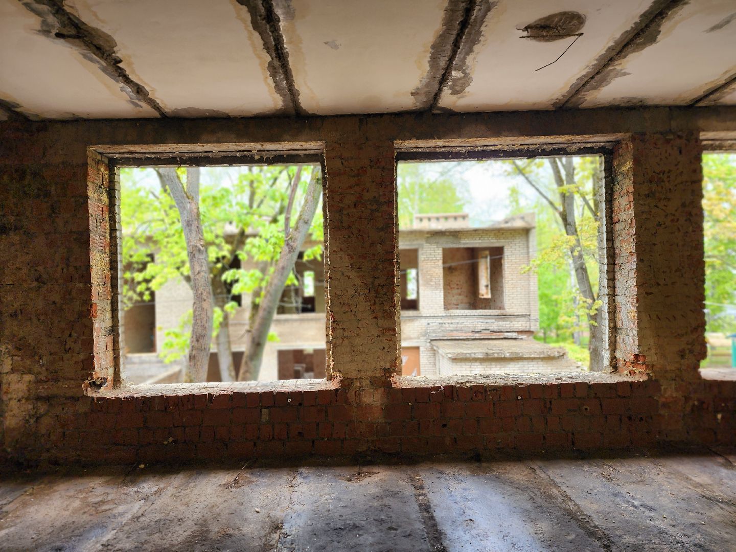 королёв, капитальный ремонт лицея в королеве, губернатор московской области,