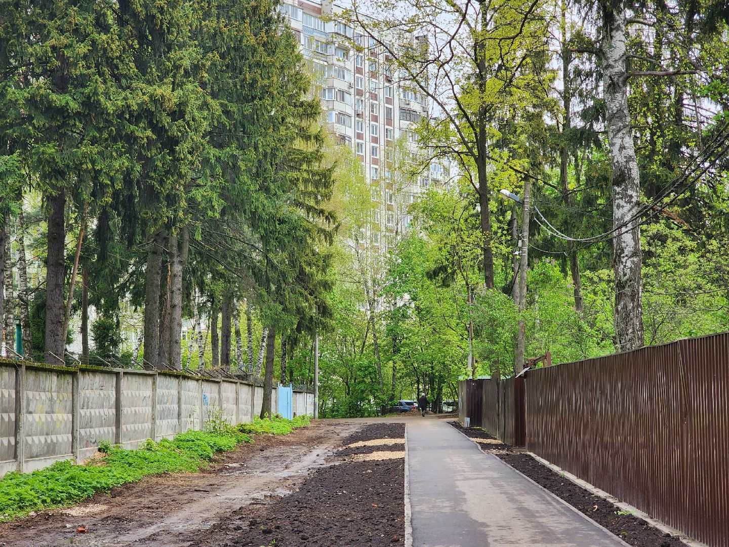 королёв, народные тропы в королеве, благоустройство народных троп ,