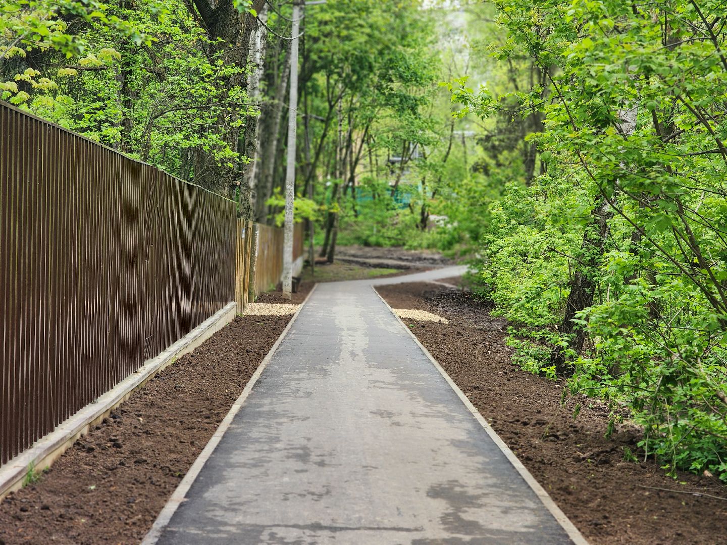 королёв, народные тропы в королеве, благоустройство народных троп ,