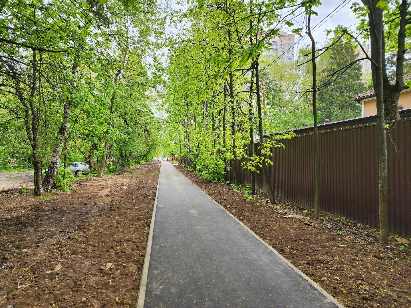 королёв, народные тропы в королеве, благоустройство народных троп ,