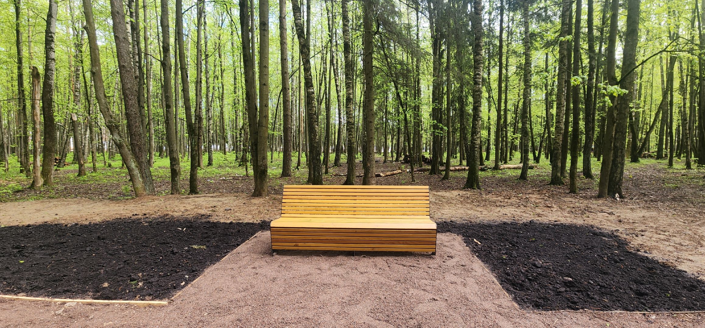 Звенигород, Благоустройство, Лесопарк Супонево , Туризм ,